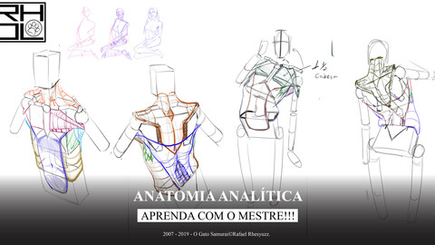 Anatomia analítica