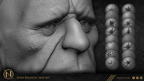 Zbrush - Noya Realistic Skin Kit ( Handmade Brushes + 4.5 Hours Video )