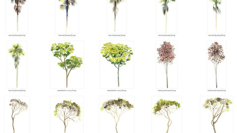 Watercolor Cutout Tree PACK 03