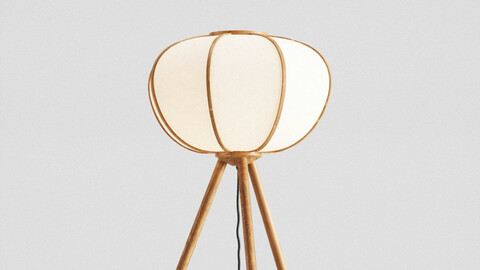 H&M Bamboo floor lamp 3d model