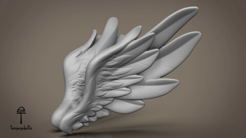 Wings 02. 3D-model. OBJ-file