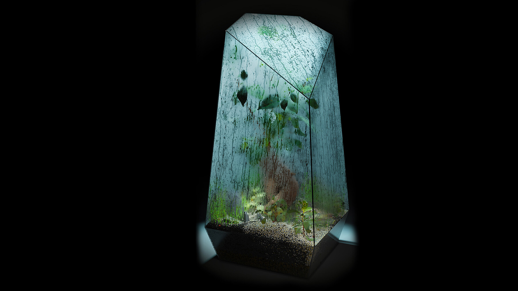 ArtStation Foggy Wet Bonsai Terrarium Resources