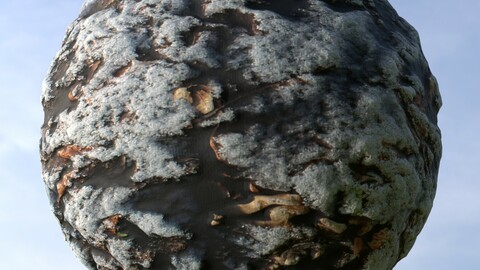 Winter Ground And Leafs PBR Material