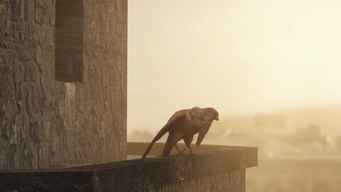 Photorealistic Kestrel Bird - 3D Asset