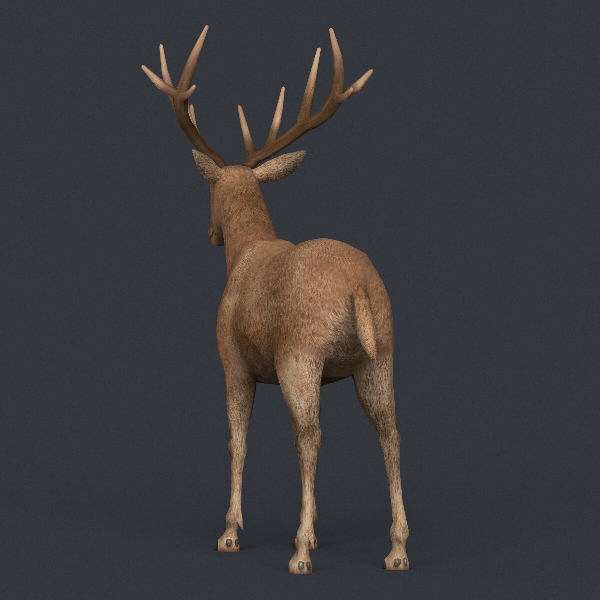 Deer 3d model