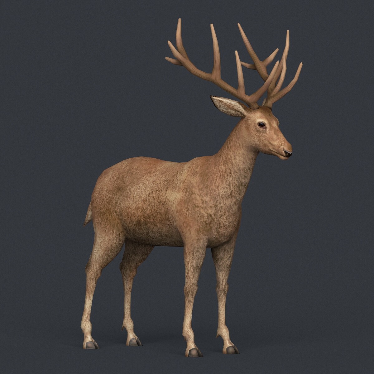 ArtStation - Realistic Deer | Game Assets