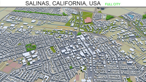 Salinas city California USA 3d model 20km