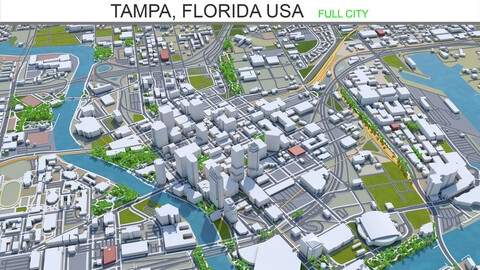 Tampa city Florida USA 3d model 50km