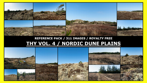 THY VOL.4 - NORDIC DUNE PLAINS / Photo Reference / 300+ images
