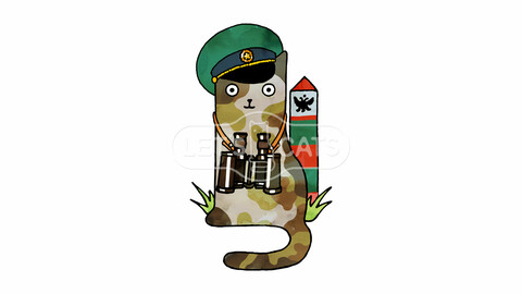 Border guard Cat