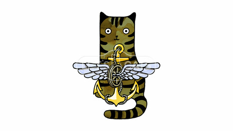 Military communications Cat
