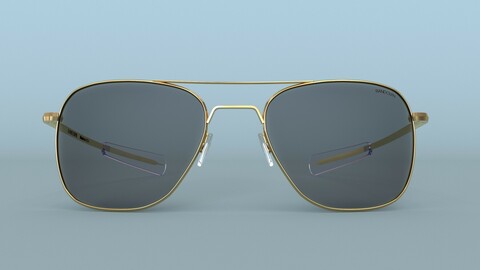 Sunglasses Randolph Aviator Gold Polarized 3D Model