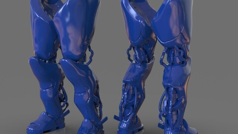 Robotic Legs