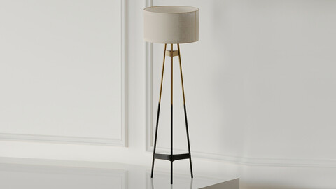 BRACE OMBRE FLOOR LAMP CB2 Exclusive