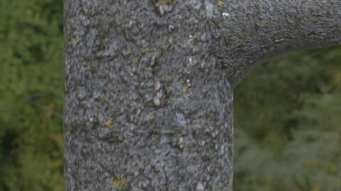 Tree Bark 15 PBR Material
