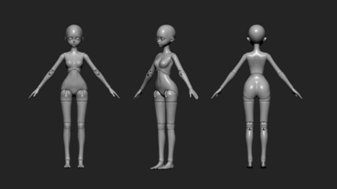 Body - Ball Jointed Doll