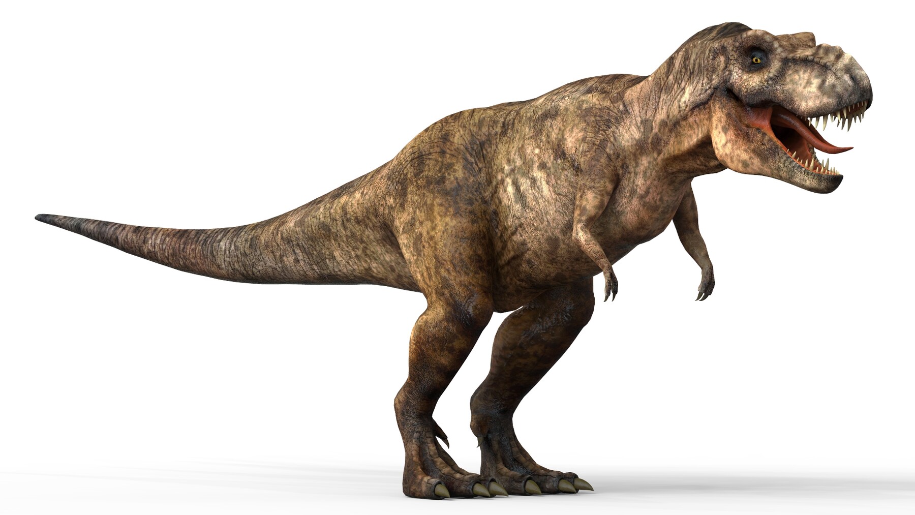 3d blender models t rex