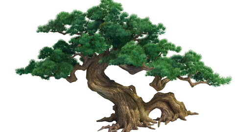 me Model - Taoist comprehension scene - a pine 01