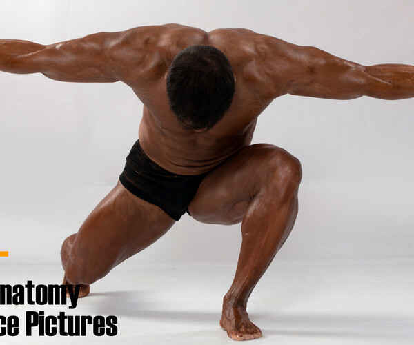 ArtStation 300+ Human Anatomy Reference Pictures Resources