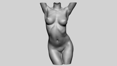 Dynamic Female Torso