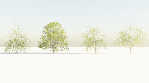 Tree pack (high poly)