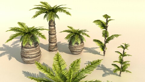 Set of plants tropic Palm Low-poly 3D model