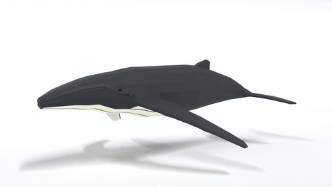 Low Poly Cartoon Humpback Whale