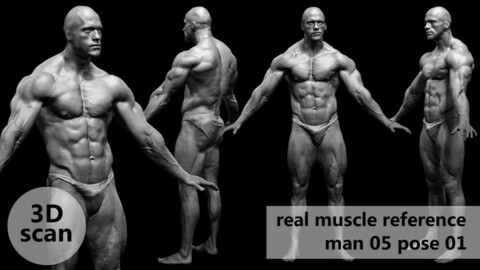 3D scan real muscleanatomy Man05 pose 01