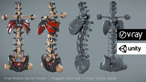 Robot Spine