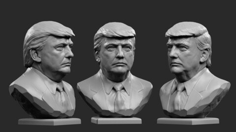 Donald Trump . Bust 1