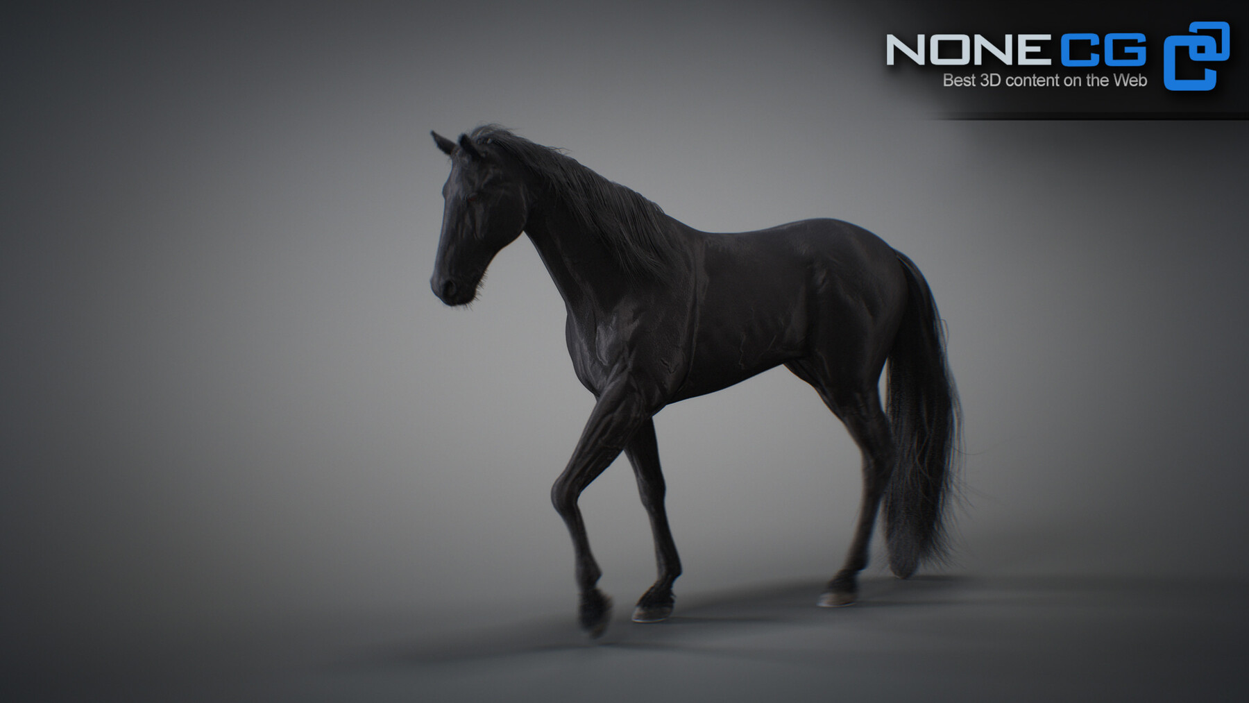 ArtStation - Animated Horses 3DS Max | Resources