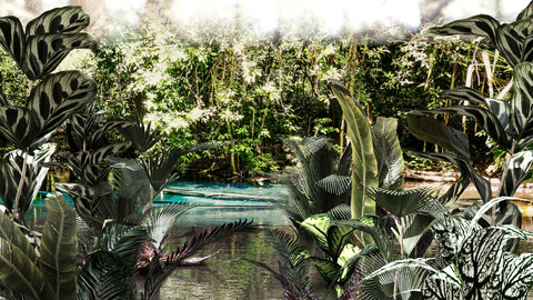 Set of plant tropic 3 Low-poly 3D model