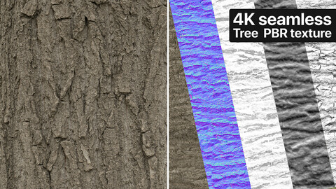 Tree Bark (05)  Photogrammetry based Environment Texture