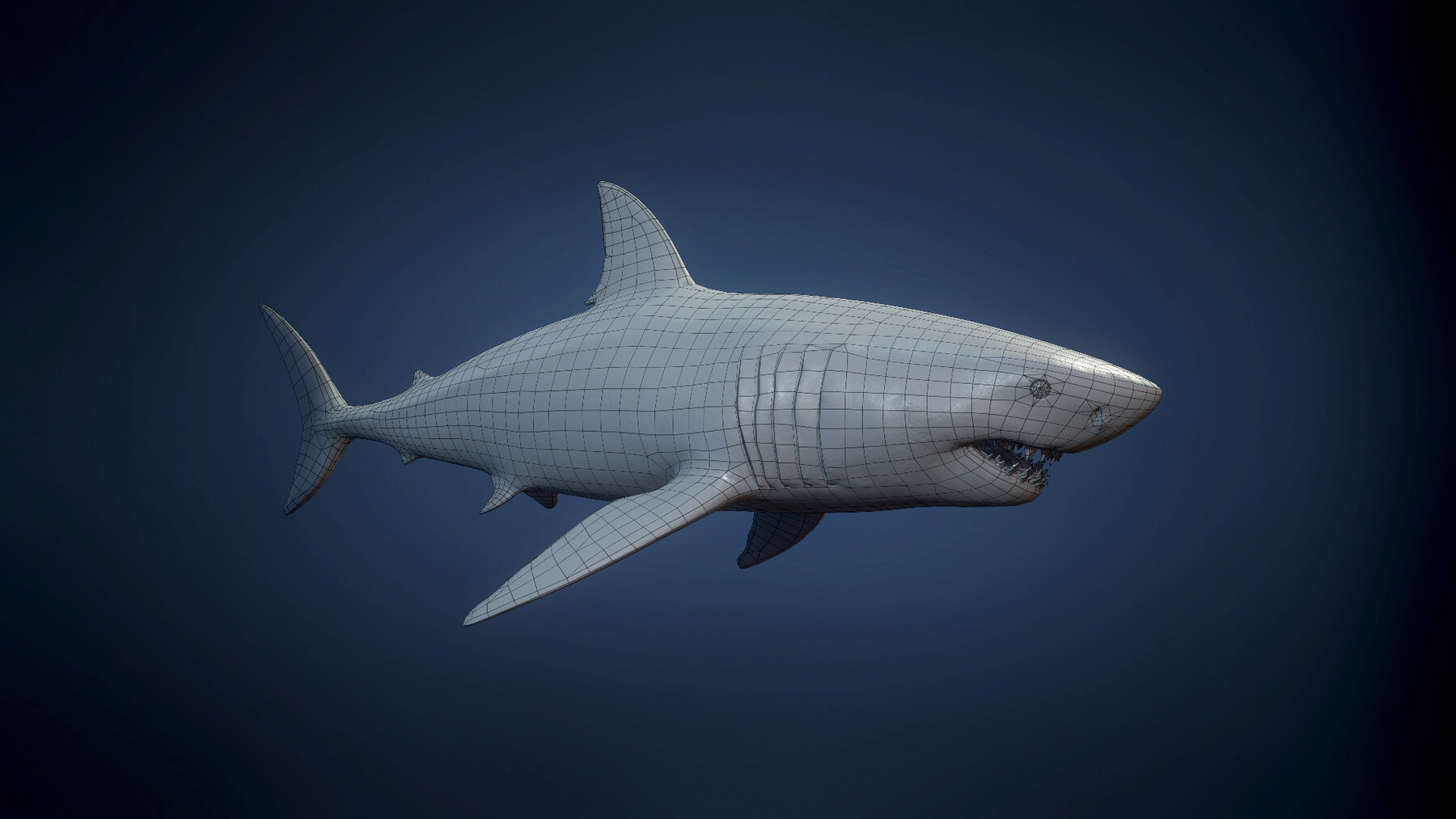 ArtStation - Great white shark - Blender