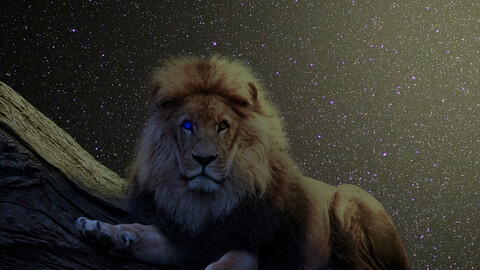 Space Lion