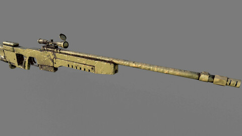 Sniper rifle