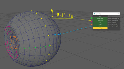 eye rig script (MAYA)