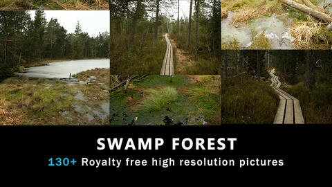 Swamp Forest Photopack