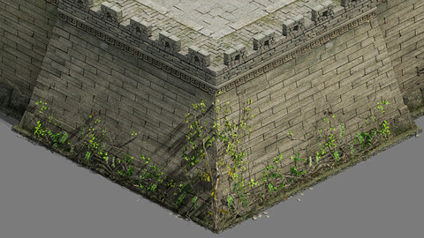 City Gate - Wall - Vineyard
