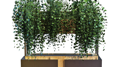 plant in box set 041