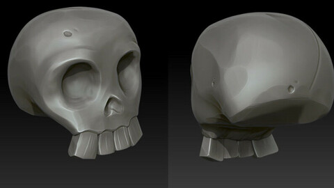 Skull Hi poly and Game res Asset.