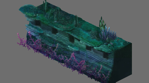 Game Model - Underwater Coral Wall 2