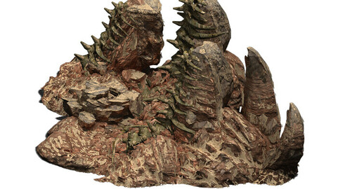 Desert - BOSS Altar Fossil Bones 02