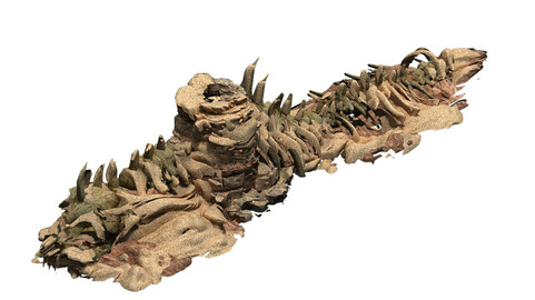 Desert - BOSS Altar Fossil Bones 03