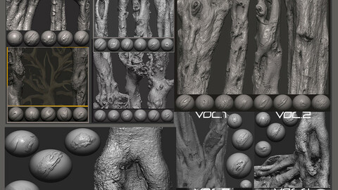 Z brush - Trunk Detail Brushes 9 Volumes