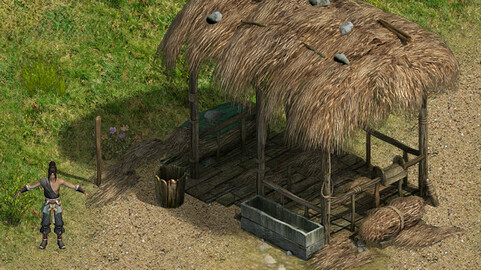 Country tribe - stables