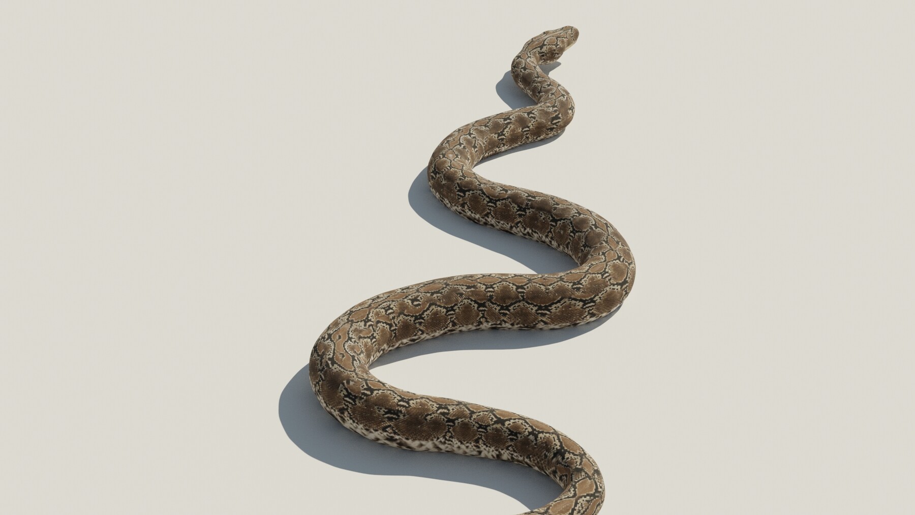 ArtStation - Rigged python 3D model | Resources
