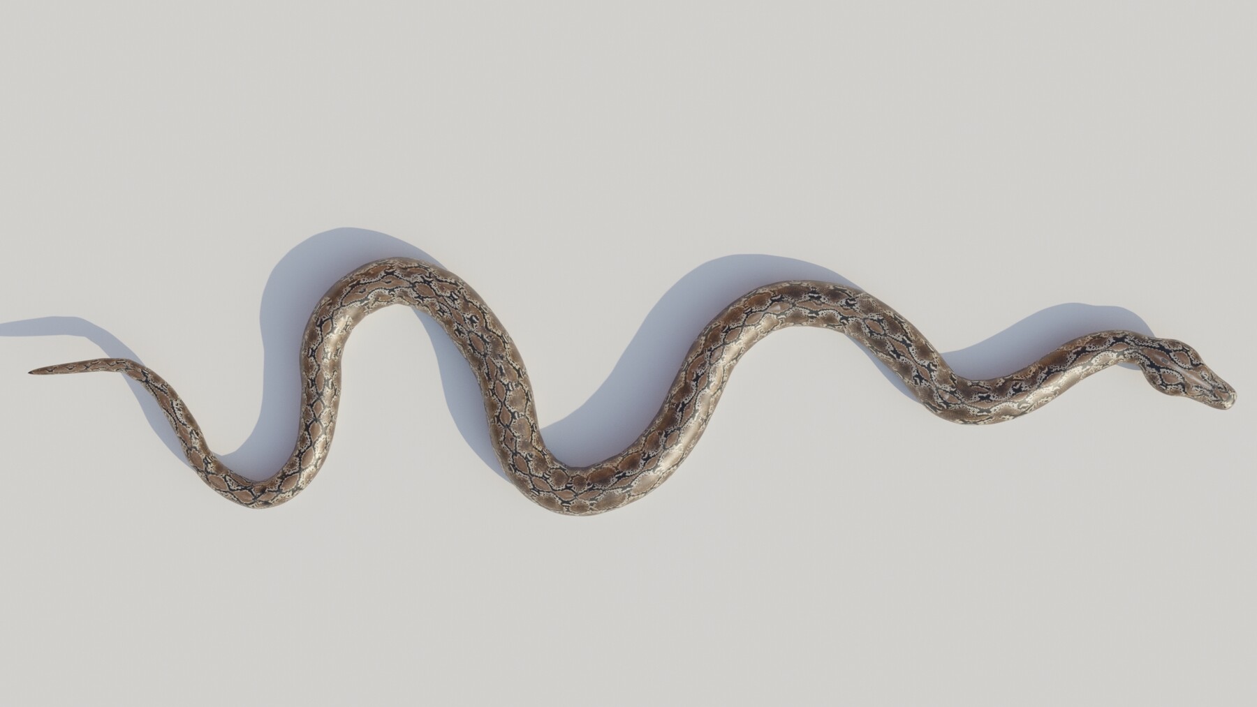 ArtStation - Rigged python 3D model | Resources