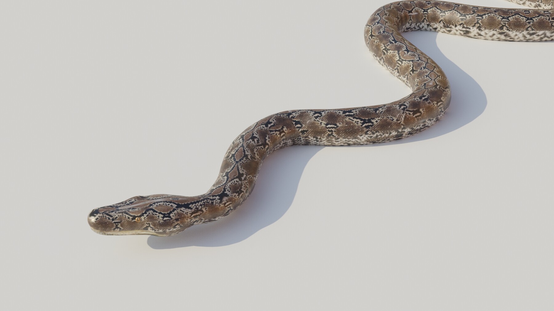 ArtStation - Rigged python 3D model | Resources