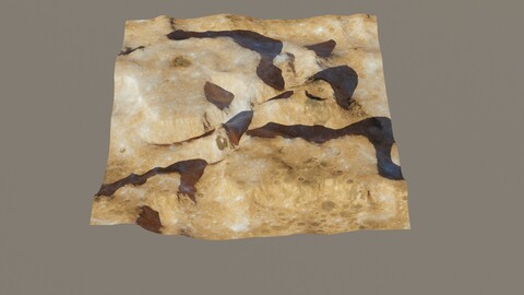 Planet Surface 3D model
